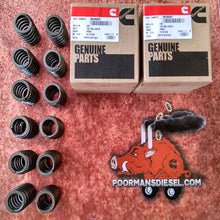 Load image into Gallery viewer, Cummins 3916691 60lb Valve Springs Set of 12