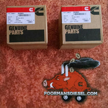 Load image into Gallery viewer, Cummins 3916691 60lb Valve Springs Set of 12