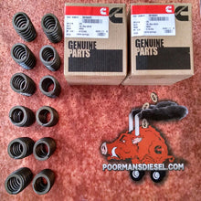 Load image into Gallery viewer, Cummins 3916691 60lb Valve Springs Set of 12
