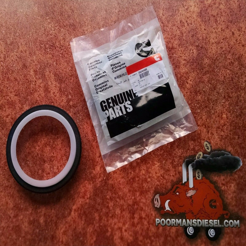 Dodge 5.9 Cummins 3934486 Rear Main Seal